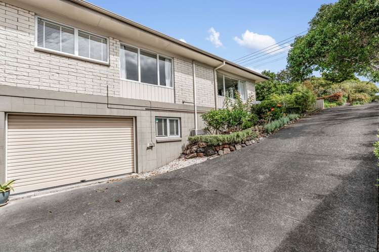 1/23 Lucerne Road Remuera_13