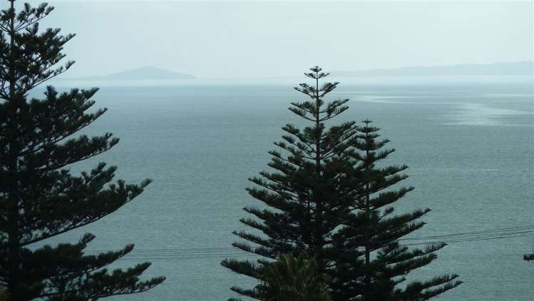 33 Patui Avenue Ngarimu Bay_36