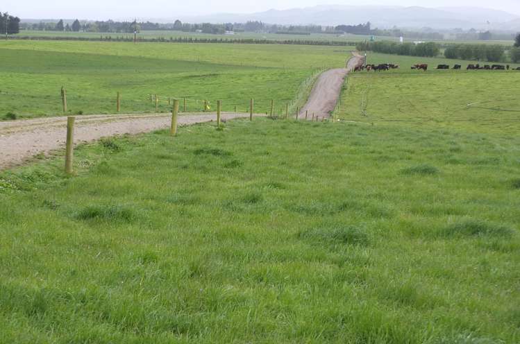 1402 Limehills Browns Road Winton Surrounds_16