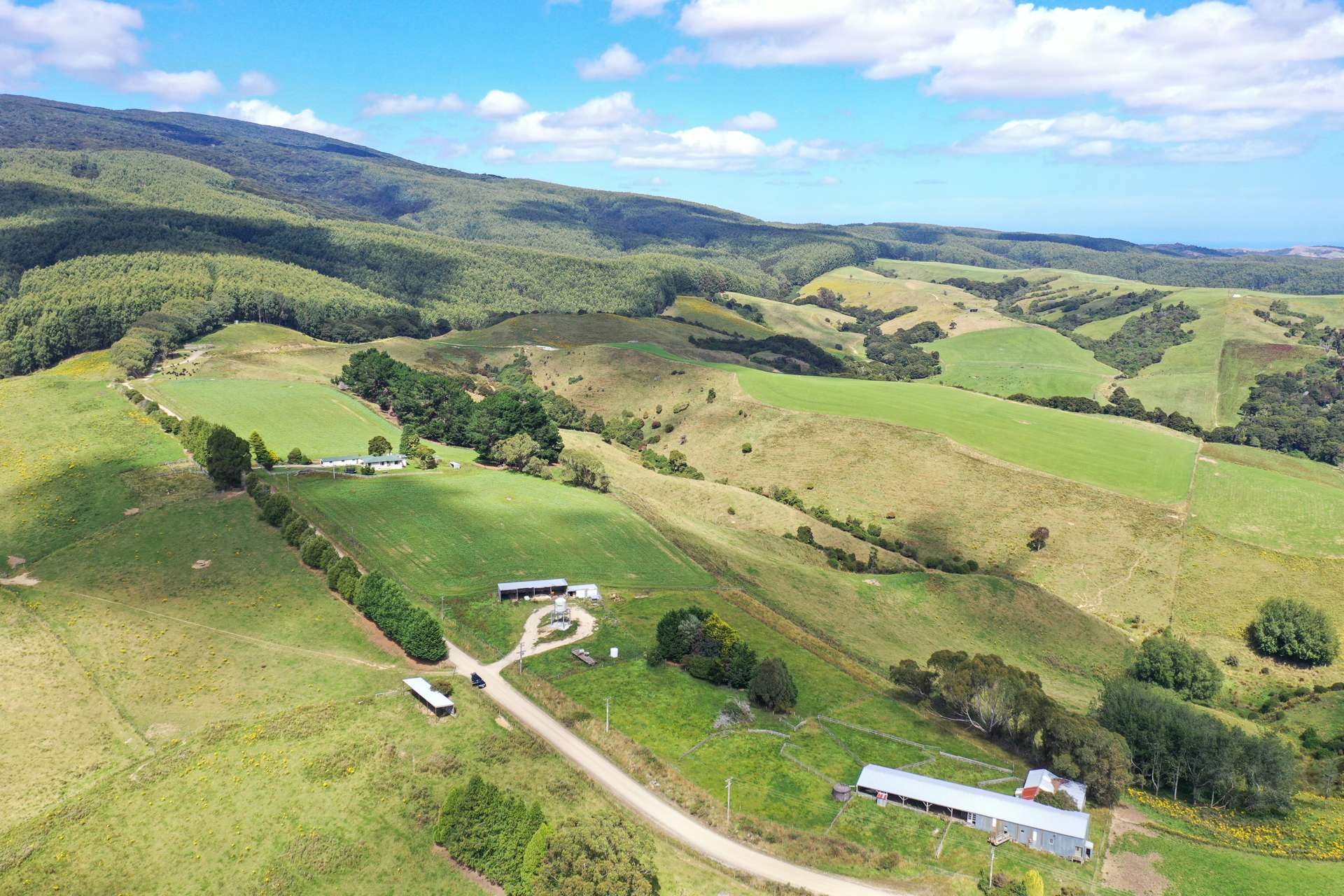 110 Harrison Road Tuatapere_0