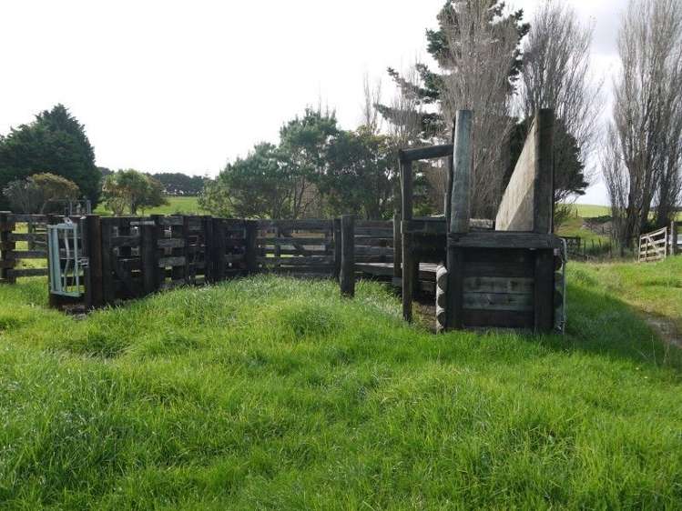 64 Otara Point Road Te Kopuru_5