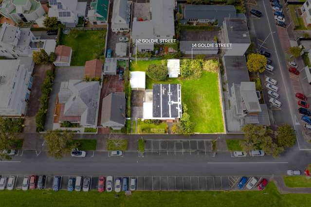 14 Goldie Street St Heliers_4