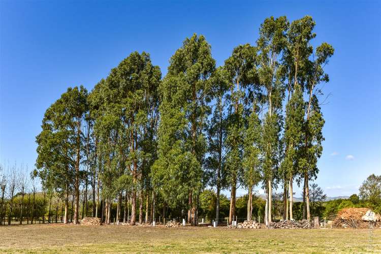 471 Springs Road Prebbleton_44