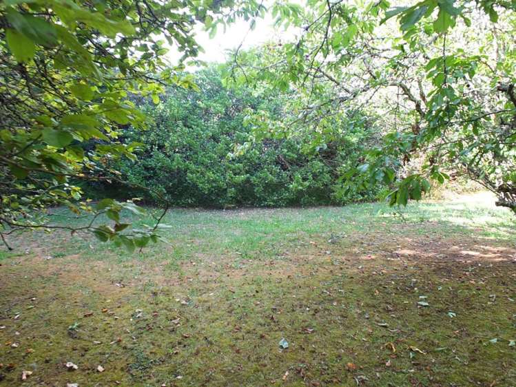 16 Norton Street Foxton Beach_3