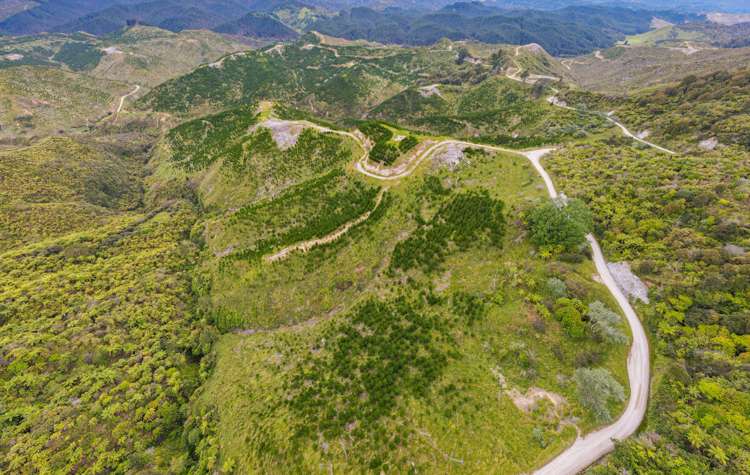 Rangitatau East Road Kai Iwi_9