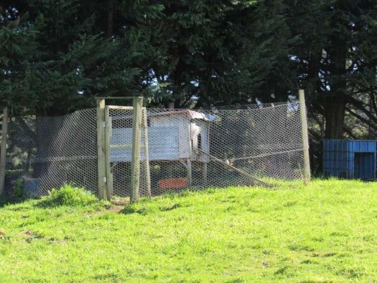 380 Mangati Road Puketotara_15