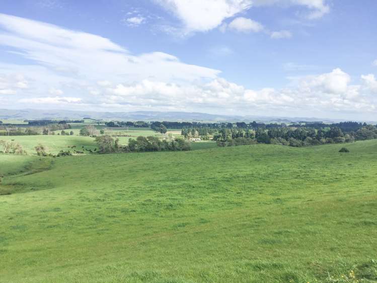 1550 Top Grass Road Rangitikei Surrounds_11