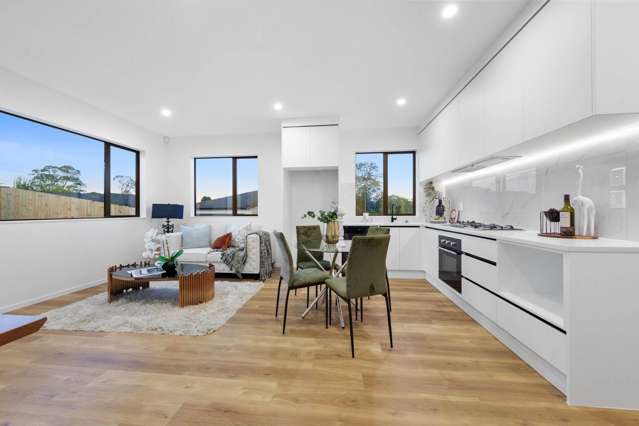 Lot 1/25 Hutchinson Avenue New Lynn_3