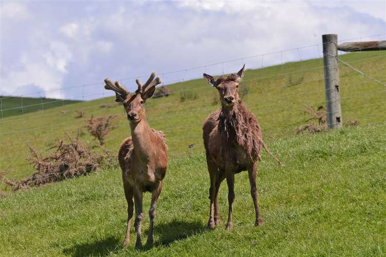 190 Hawkesbury Road Hawkesbury_50