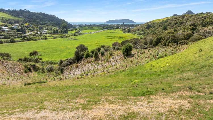 10 Waikoto Way Tairua_8