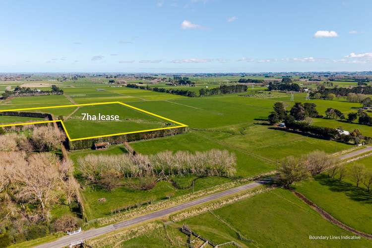 1040 Roberts Line Bunnythorpe_50