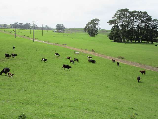 76412 State Highway 2 Rangitikei Surrounds_4