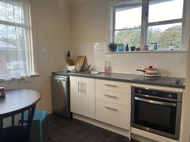 72 Macdonald Street Timaru_1