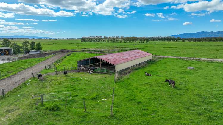 364 Piako Road Turua_5