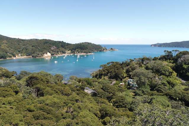 Shoal Bay Bush section