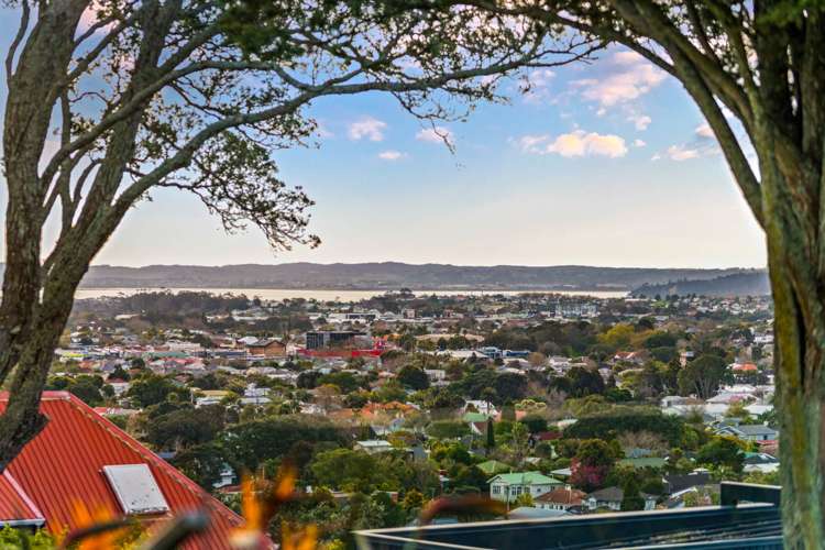 37 Landscape Road Mt Eden_19