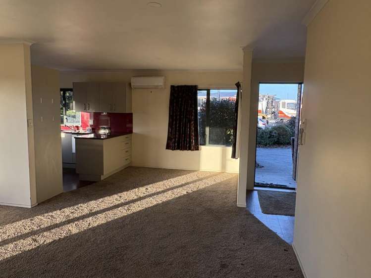 167 Bond Road Te Awamutu_7