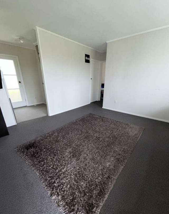 b/111 Manaia Street 11139_1