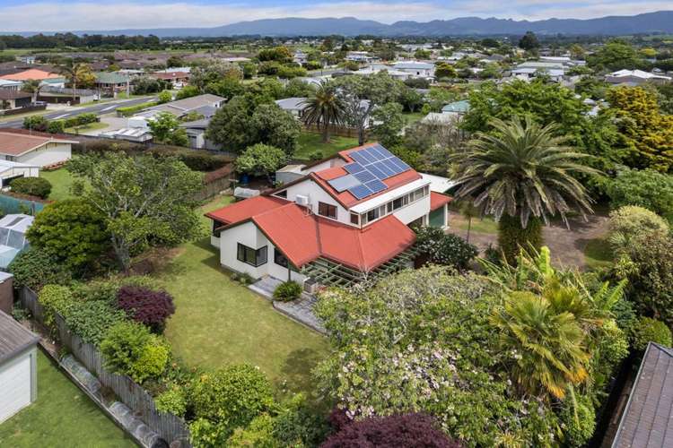 10 Rosemary Place Katikati_16