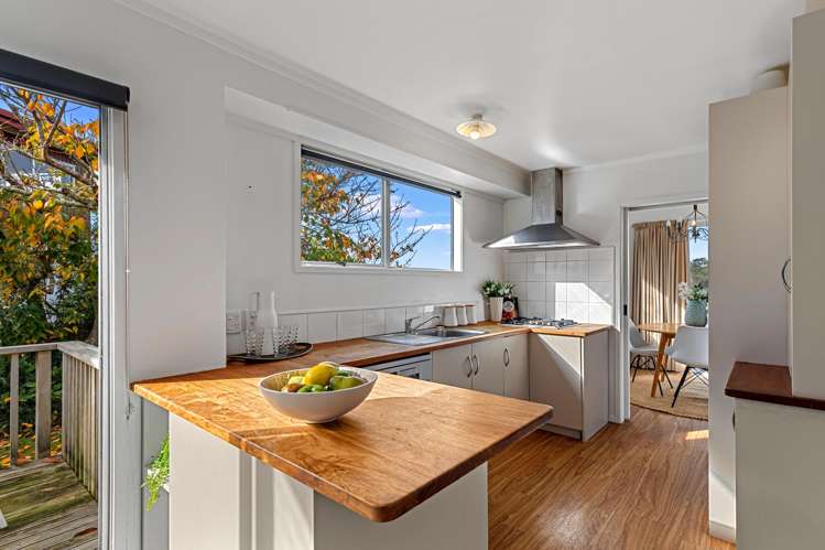 3 Corric Hill Torbay_6