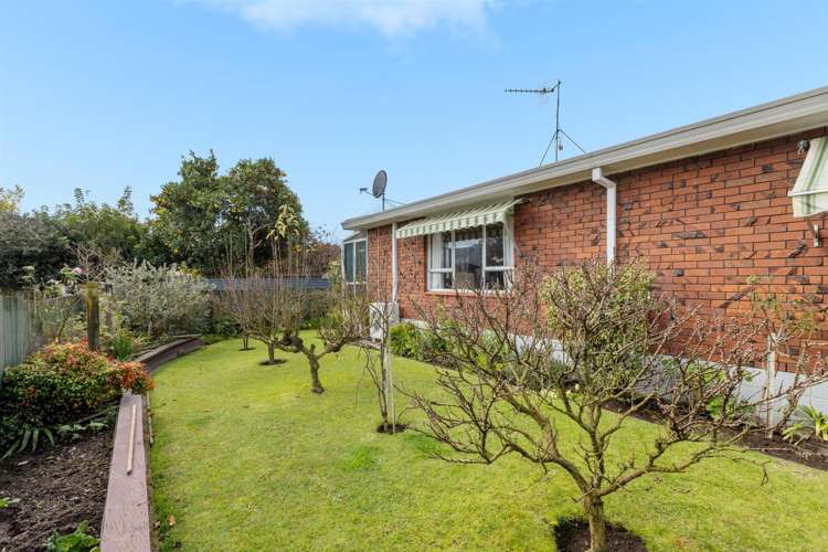 151b Boucher Avenue Te Puke_12