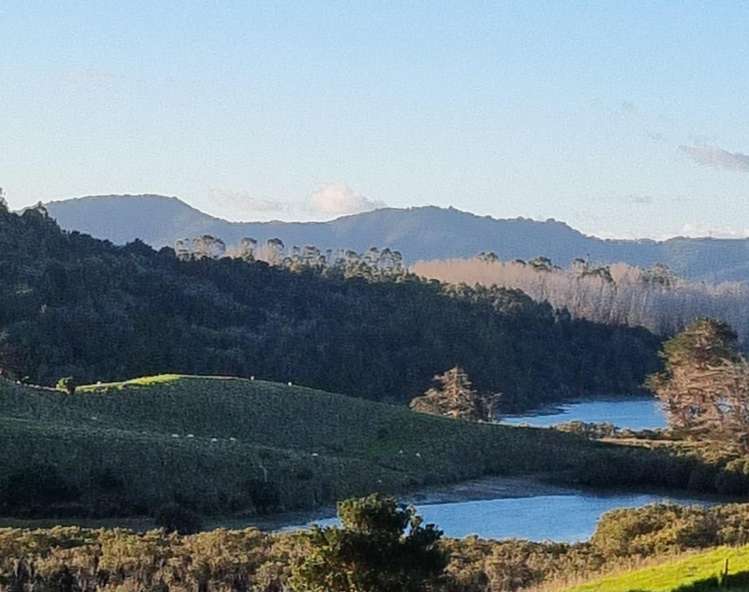 73 Hinamoki Drive Kaiwaka_28