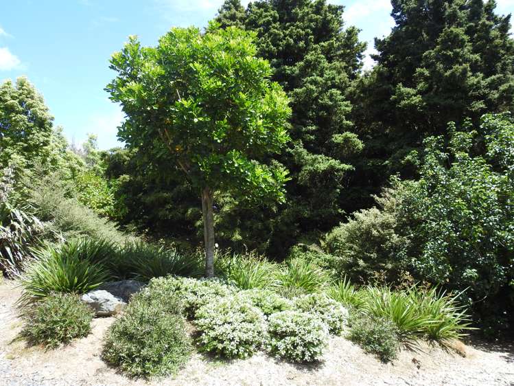 216 Massey Road Waipu_25