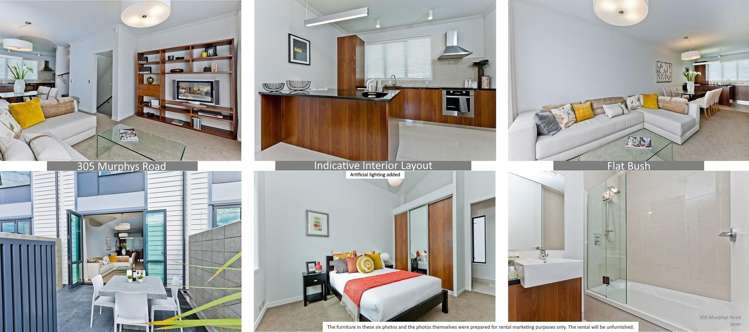 305 Murphys Road Flat Bush_3