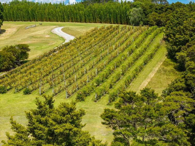 1608E State Highway 10 Kerikeri_25