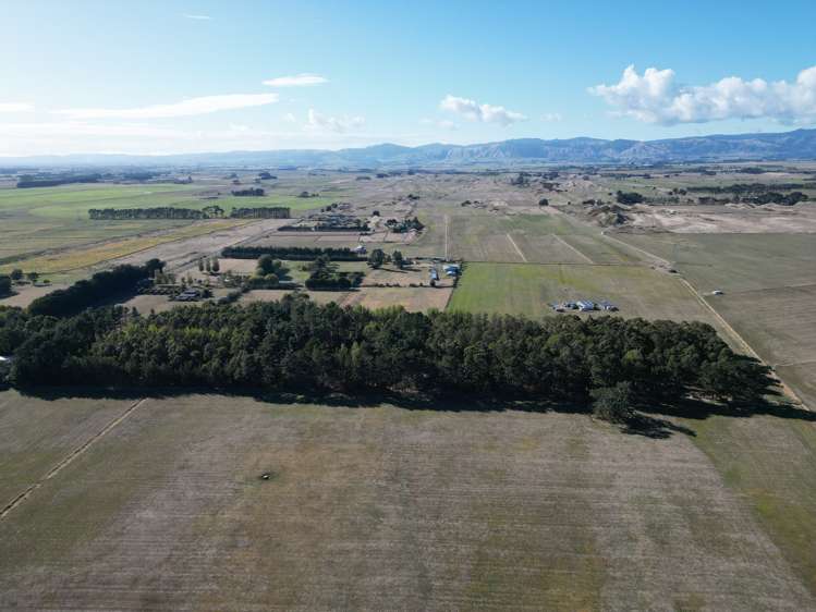 270 Motuiti Road Foxton_14