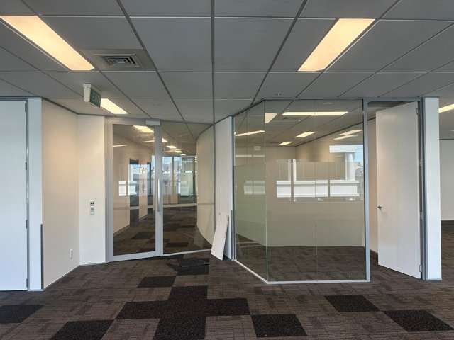 101 Carlton Gore Road Newmarket_4