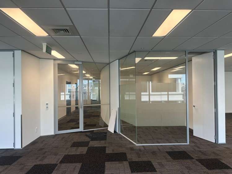 101 Carlton Gore Road Newmarket_4