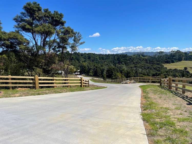 Mangawhai Bush Estate Mangawhai_9