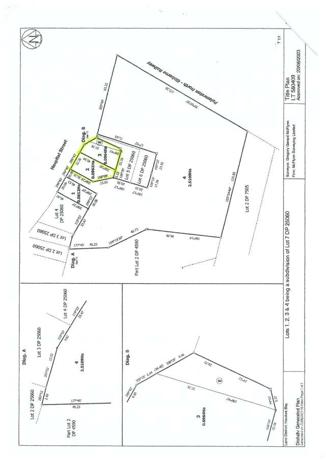 Hospital Street Dannevirke_2