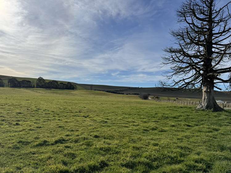 23 Hillboro Road Otaio_32