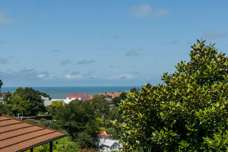 36 Milton Road Bluff Hill_7