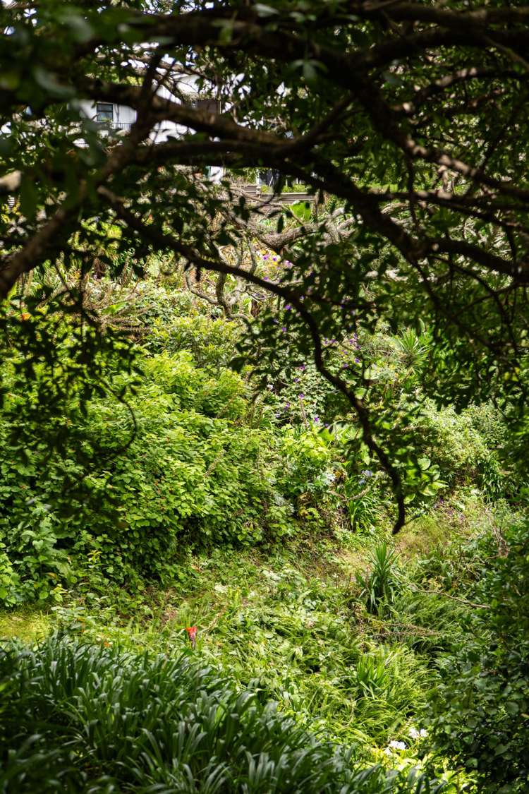 37 Pohutukawa Drive Athenree_34