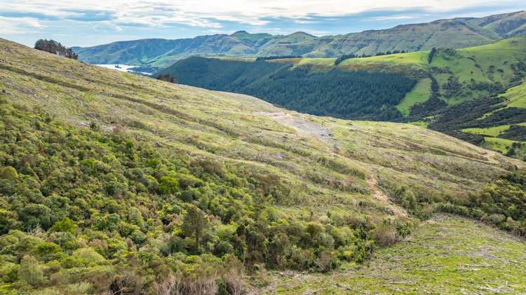 1301 Western Valley Road Port Levy_9