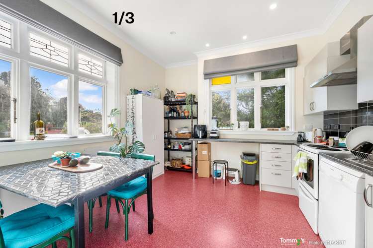 3 Alameda Terrace Aro Valley_3