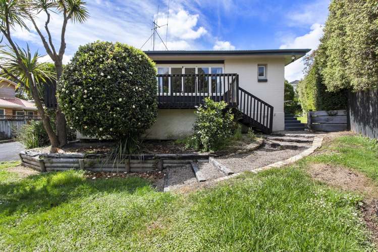 8 Alison Street Hamilton Lake_2