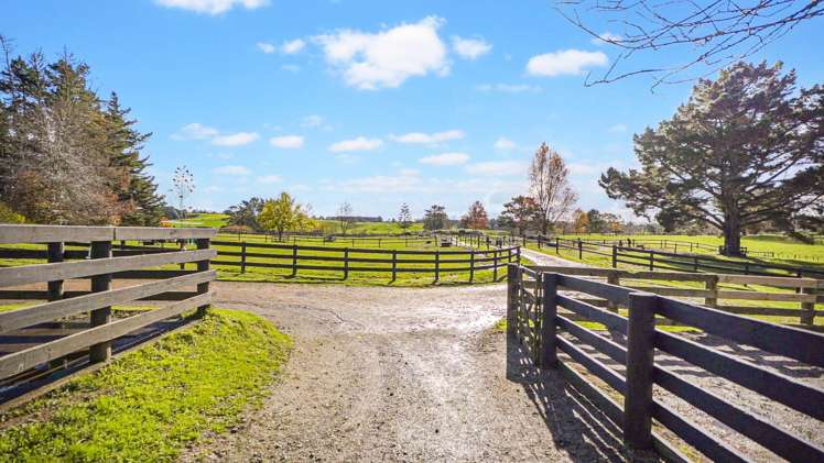 393A Burtt Road Drury_13