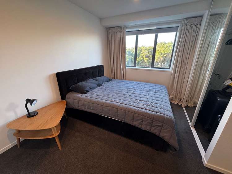 6 Winchester Street Grey Lynn_11