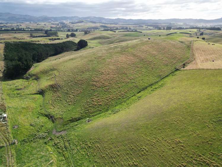 3/220 Taieri Peak Road Palmerston_4