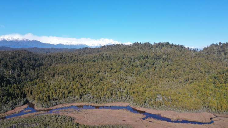 19 Victoria Street Okarito_11