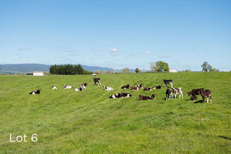 611D/631 Tauranga Road, RD 3 Matamata_10