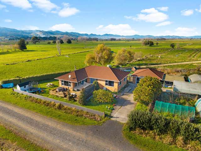 Prime Dairy Farm