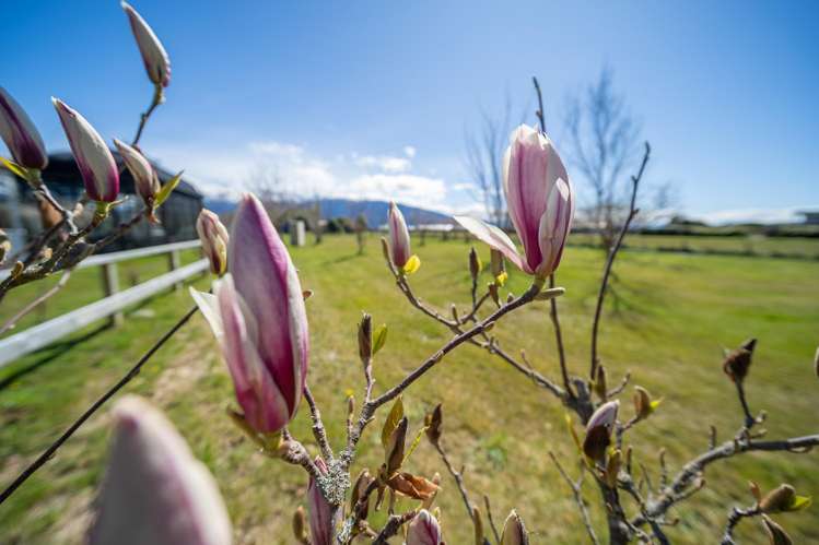 110 Aparima Drive Te Anau_9