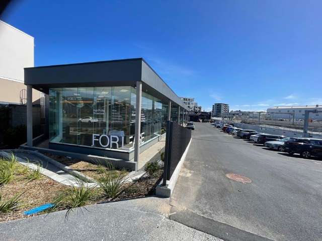 32 Normanby Road Mount Eden_4