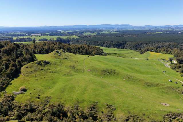 869 and 668 Mangatoi Road Oropi_3