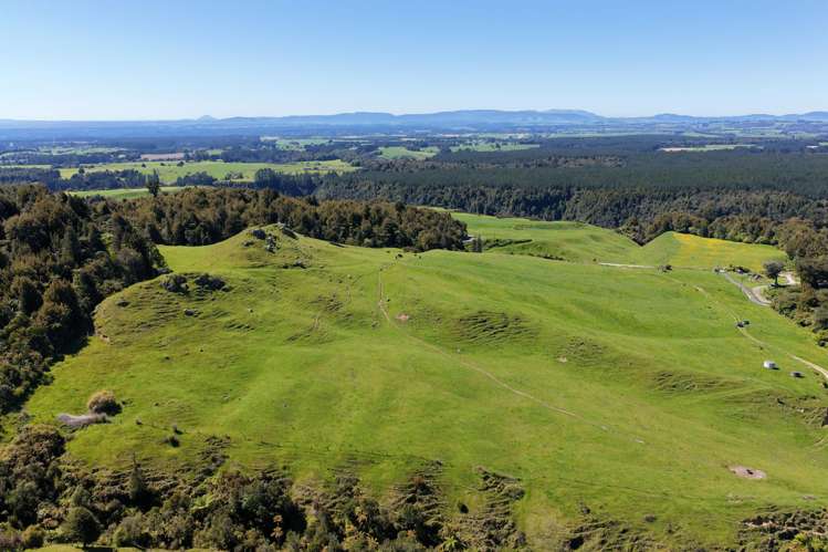 869 and 668 Mangatoi Road Oropi_3